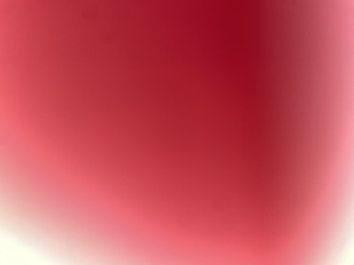 Need help with starting my business not getting any job