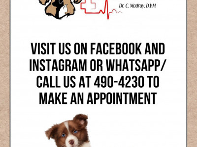 Veterinary Clinic Launch
