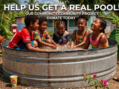 HELP US GET A REAL POOL