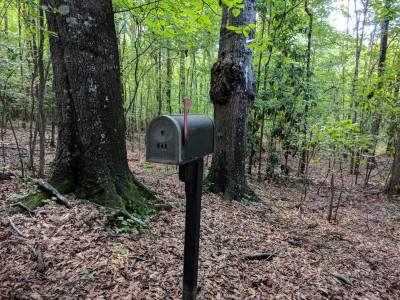 Mystical Mailbox Treasure Hunt