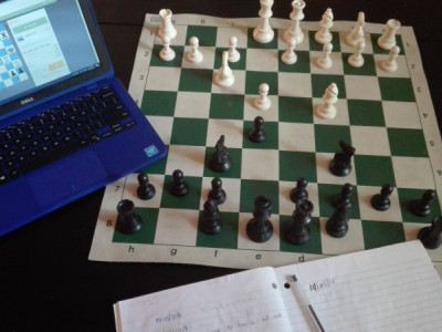 Becoming a Chess GM