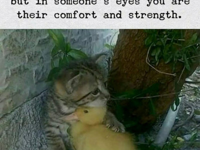 Donation