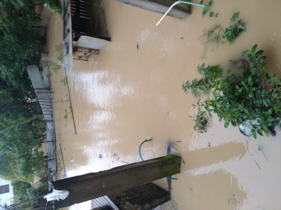 Flood Victim