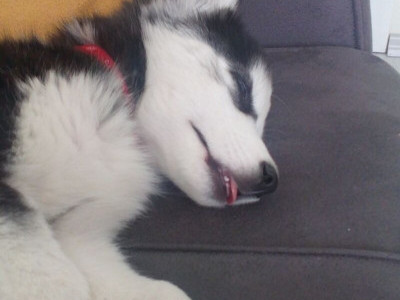 Surgery for his mouth