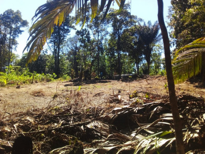 Please Help Me Build a Home for My Kids