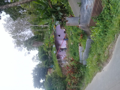 Home falling apart