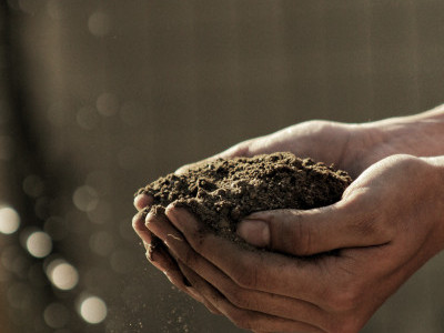 Country"Seeds of Hope: Cultivating Change in A small African Country